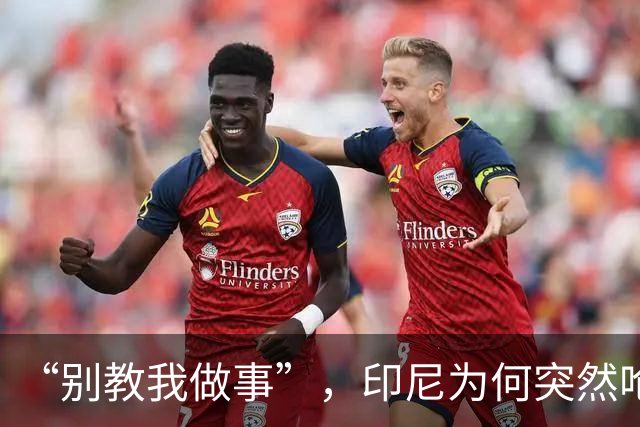 “别教我做事”，印尼为何突然呛声新加坡？
